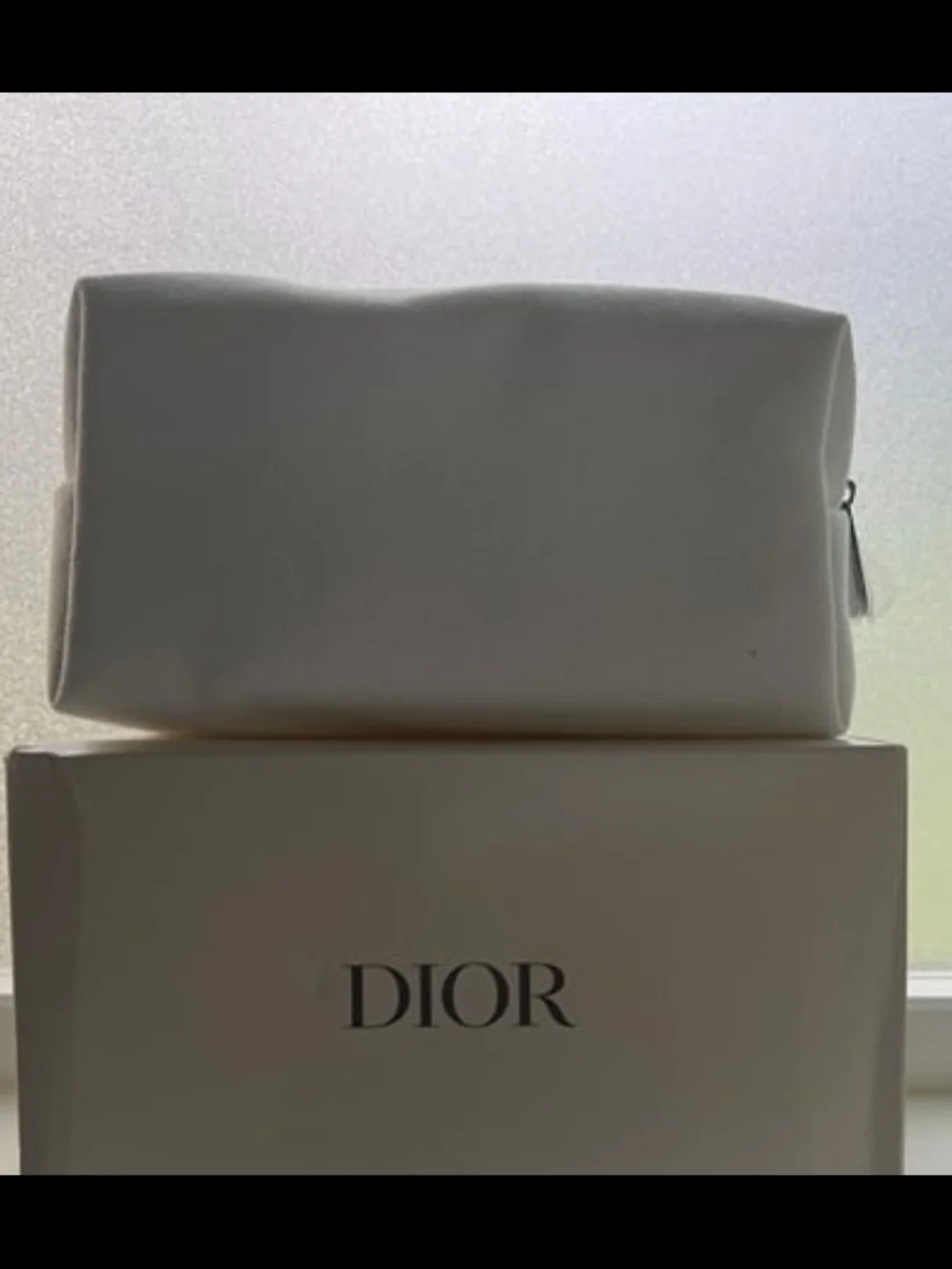 Dior compact canvas